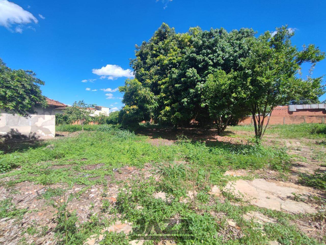 Fazenda à venda com 3 quartos, 250m² - Foto 31