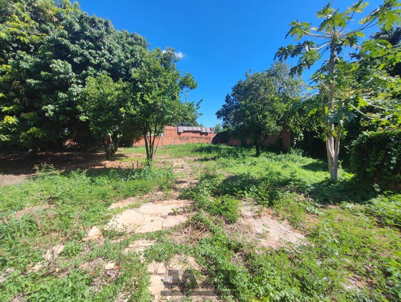 Fazenda à venda com 3 quartos, 250m² - Foto 27