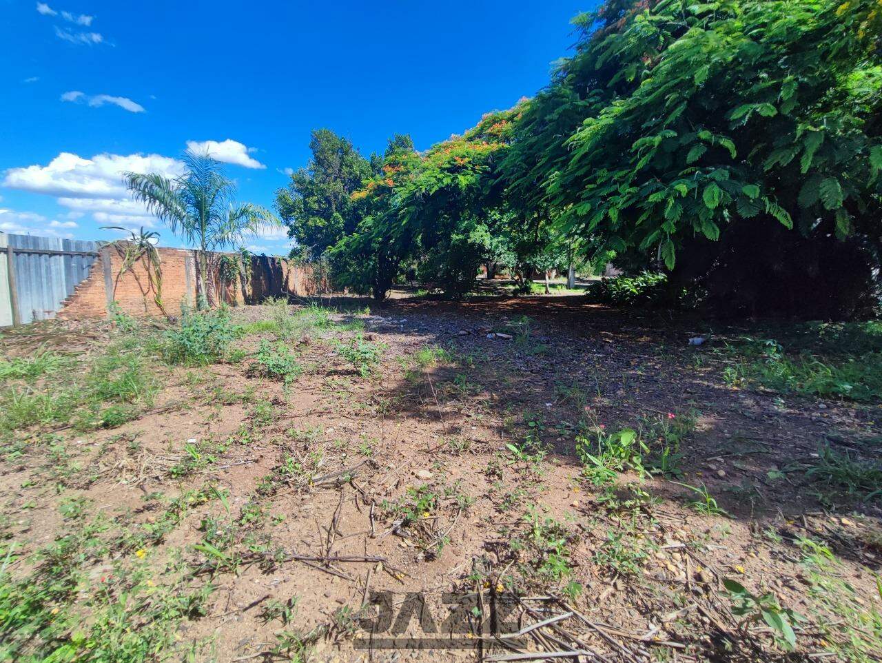 Fazenda à venda com 3 quartos, 250m² - Foto 25