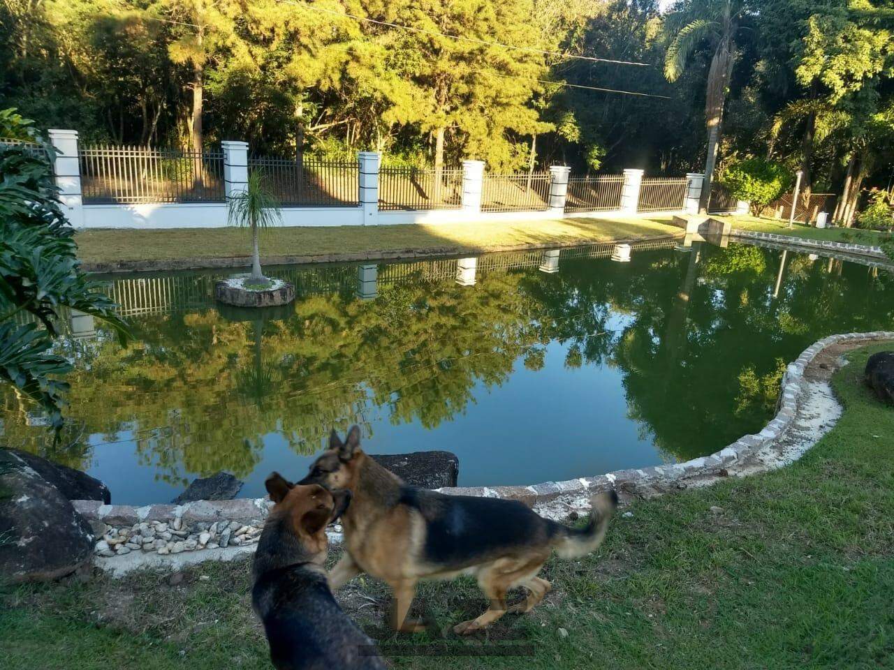 Fazenda à venda com 4 quartos, 390m² - Foto 21