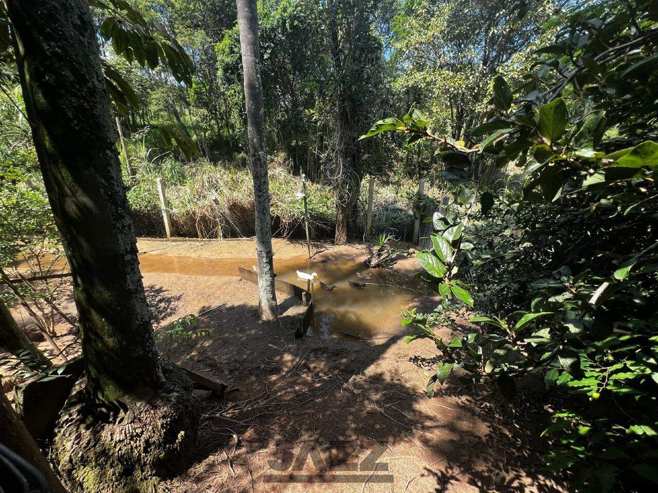 Chácara à venda com 5 quartos, 350m² - Foto 41