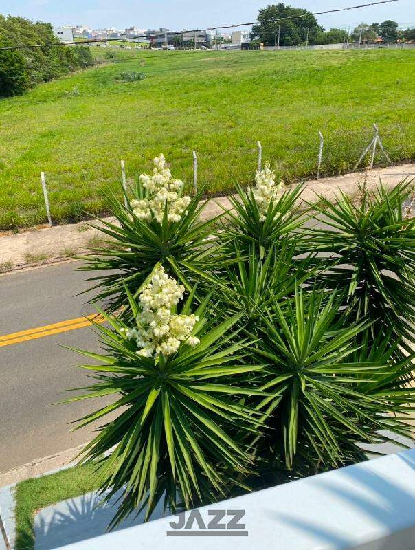 Casa, 4 quartos, 259 m² - Foto 9