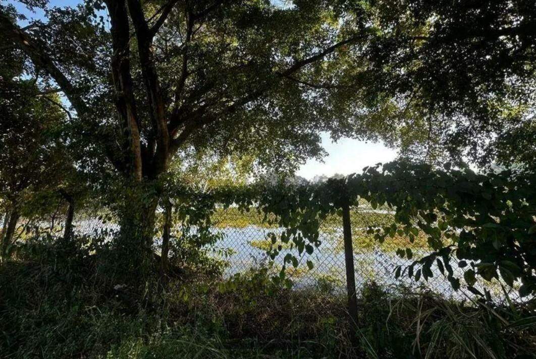 Terreno à venda com 3 quartos, 90m² - Foto 7