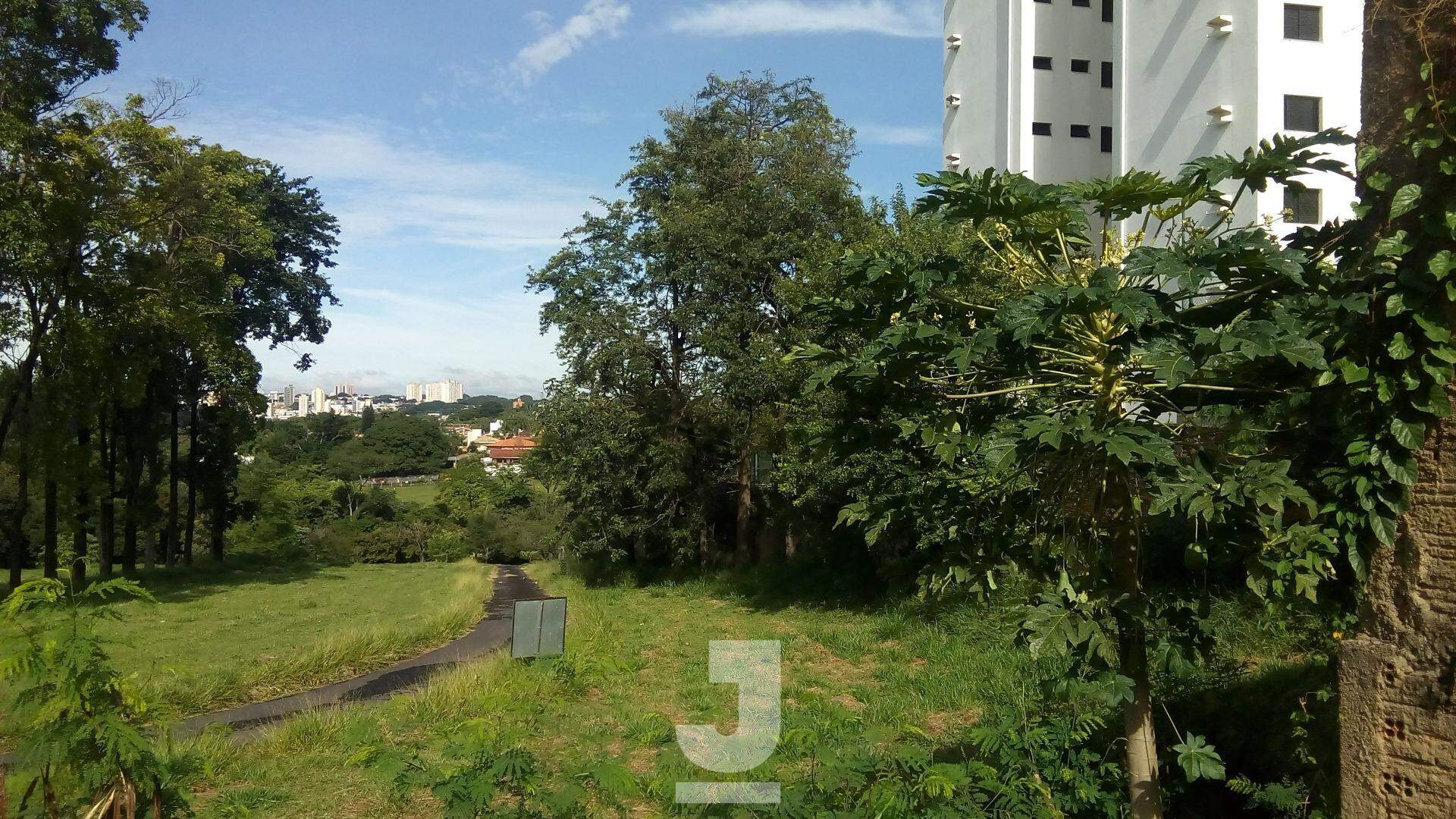 Terreno à venda, 310m² - Foto 4