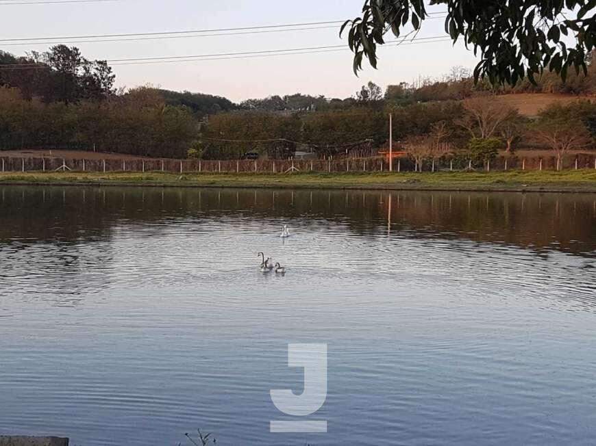 Fazenda à venda com 4 quartos, 400m² - Foto 2