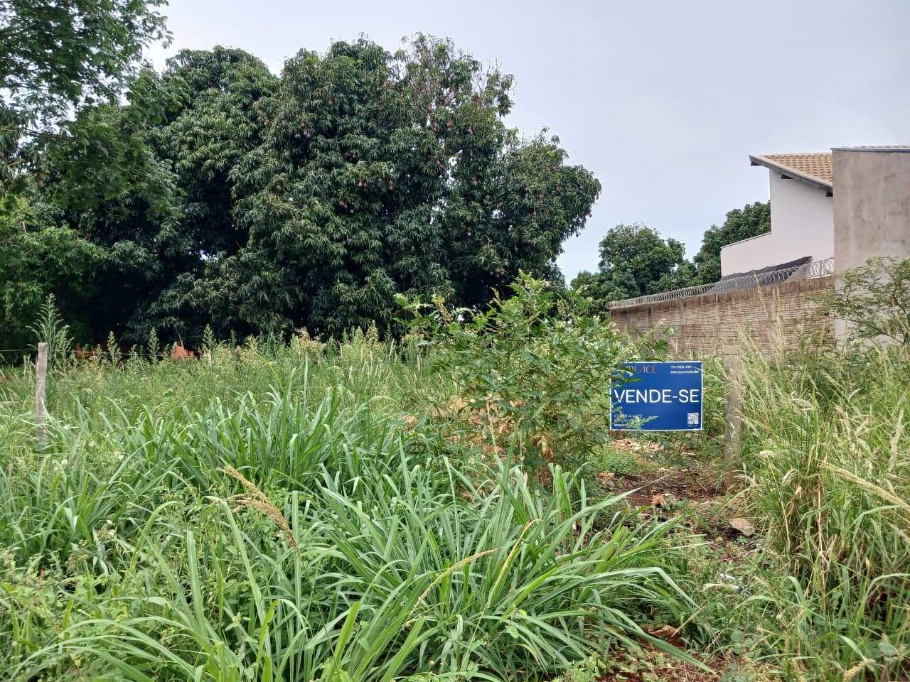 Terreno à venda no Parque das Mangueiras: 