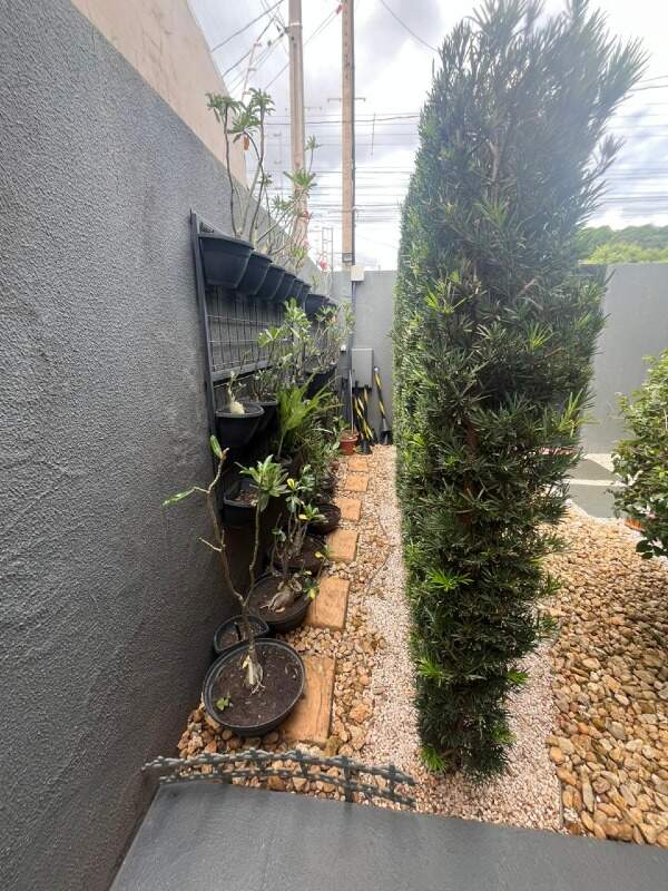 Casa à venda no Parque São Carlos: 