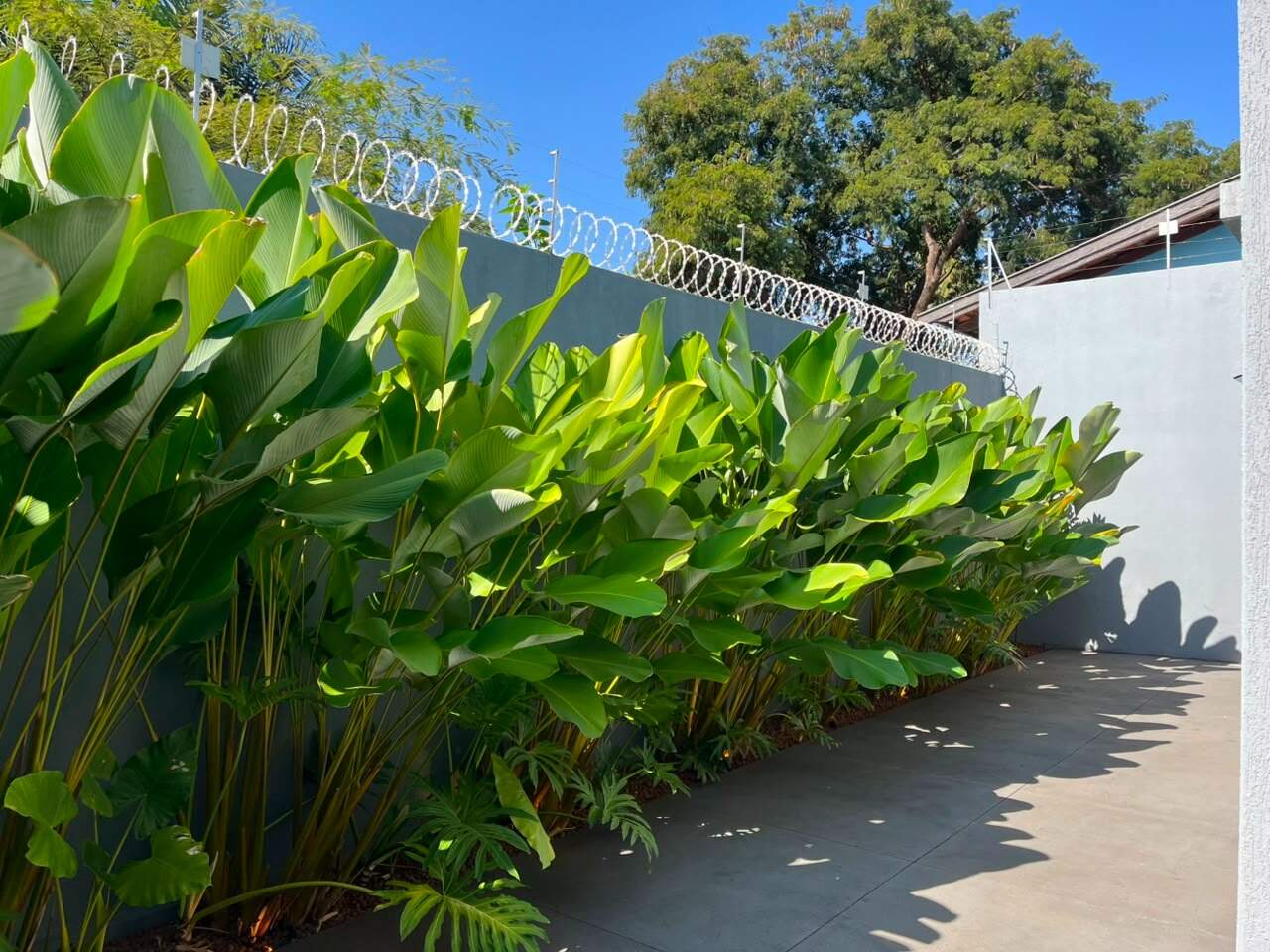 Casa à venda no Nossa Senhora das Graças: 