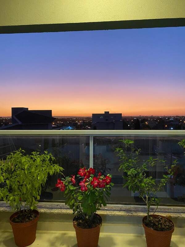 Apartamento à venda no Jardim dos Ipes: 