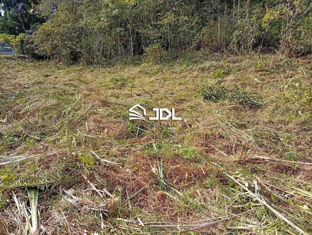 Terreno à venda no bairro Salto do Norte: 