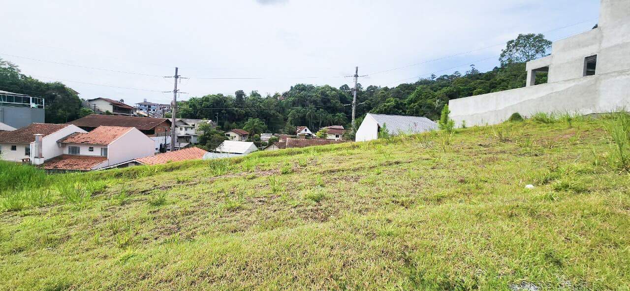 Terreno à venda no bairro Velha: 