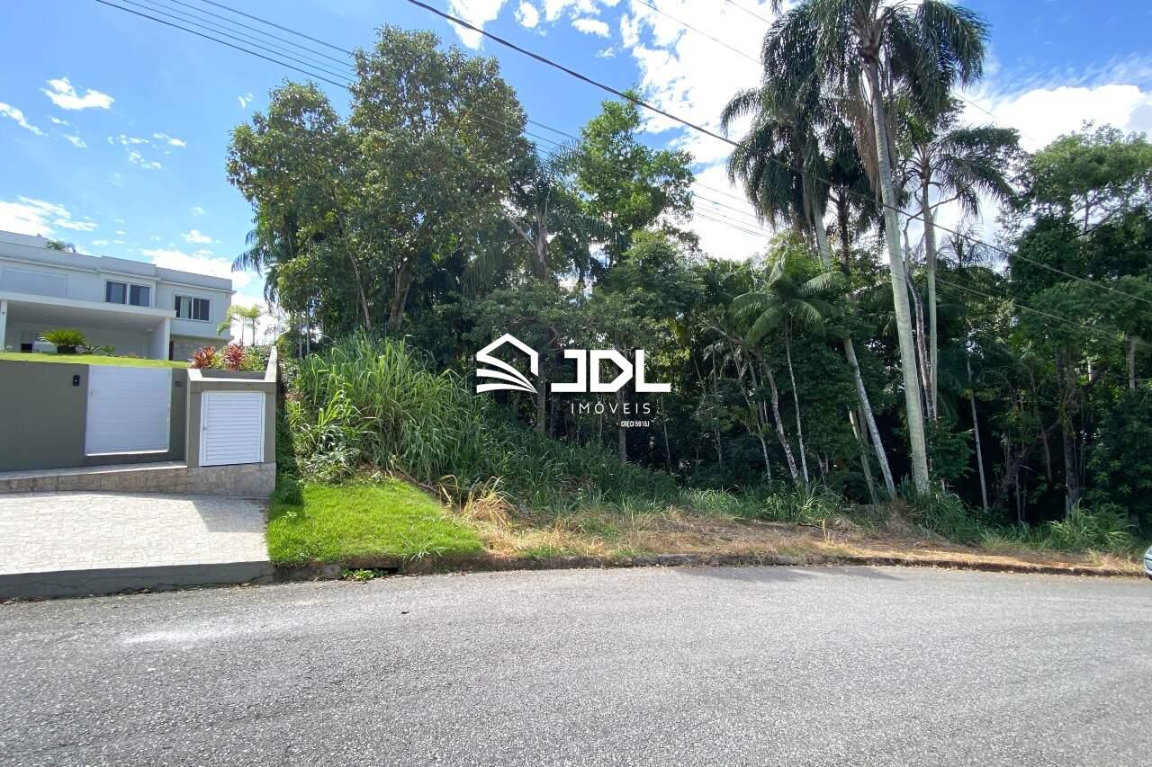 Terreno à venda no bairro Velha: 