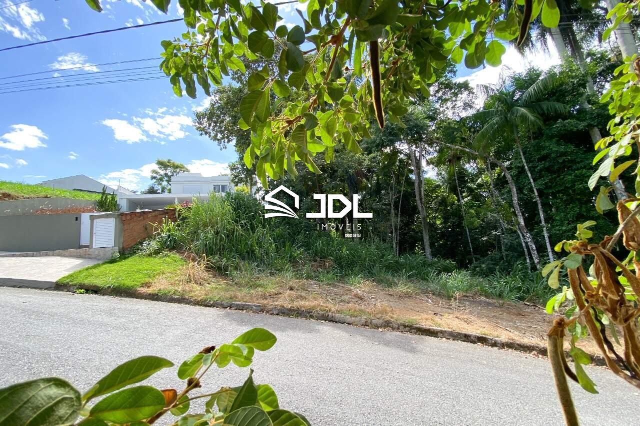 Terreno à venda no bairro Velha: 