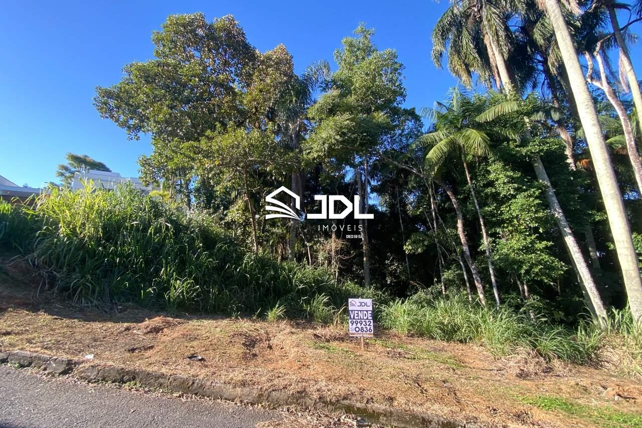 Terreno à venda no bairro Velha: 