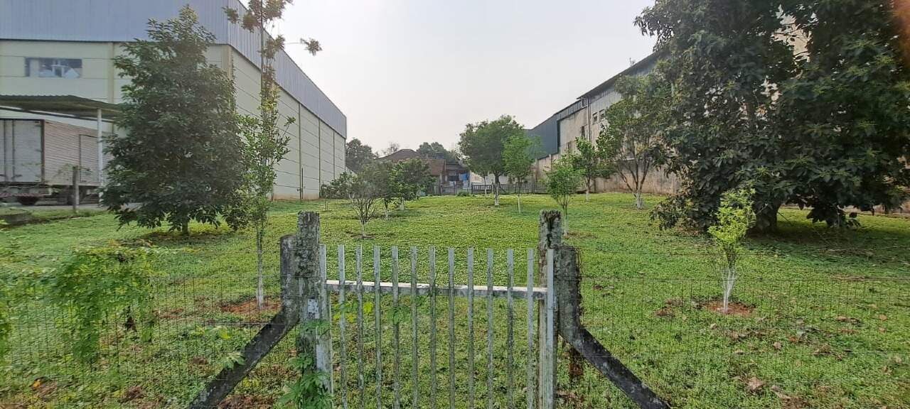 Terreno à venda no bairro Salto do Norte: 