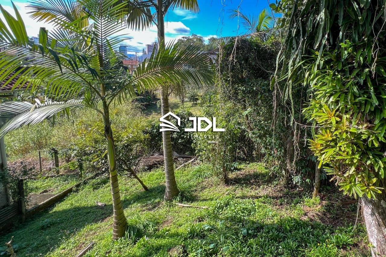 Terreno à venda no bairro Velha: 