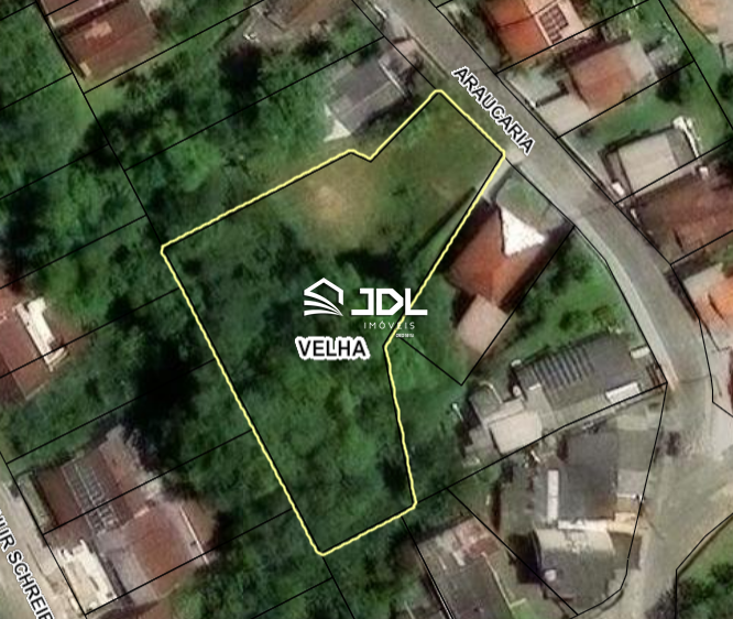 Terreno à venda no bairro Velha: 