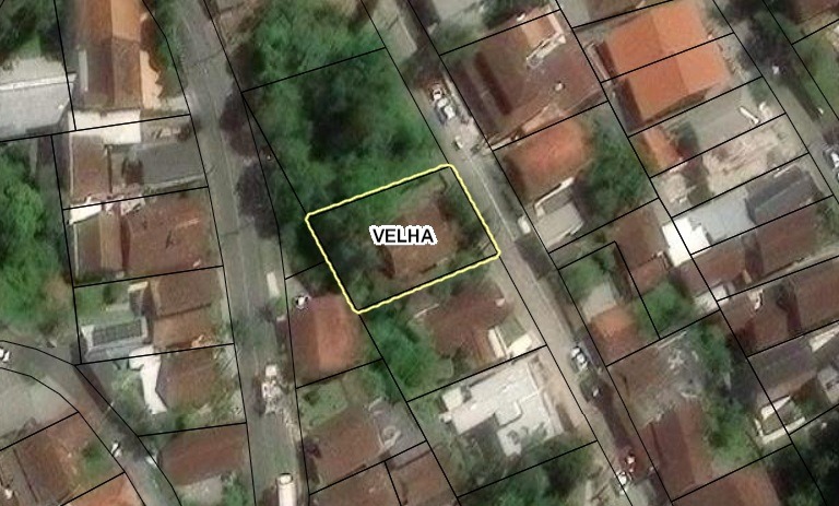 Terreno à venda no bairro Velha: 