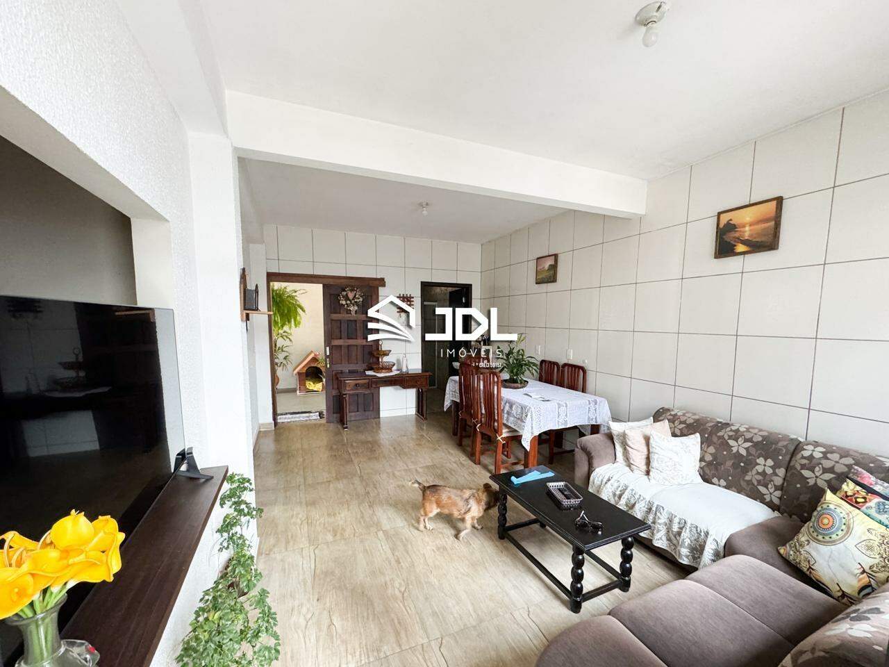 Casa à venda no bairro Velha: 