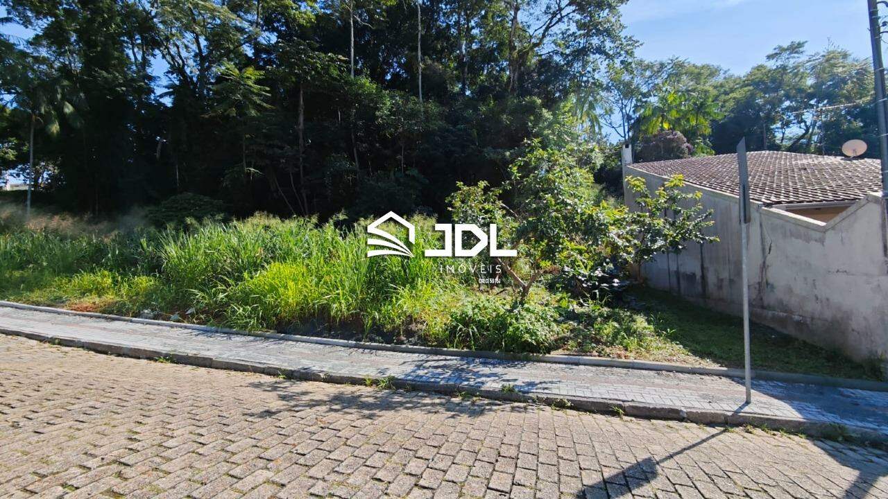 Terreno à venda no bairro Velha: 