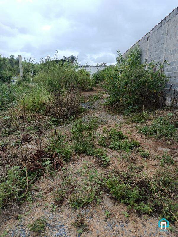 Lote / Terreno à venda em Vila Costina, Pains - MG