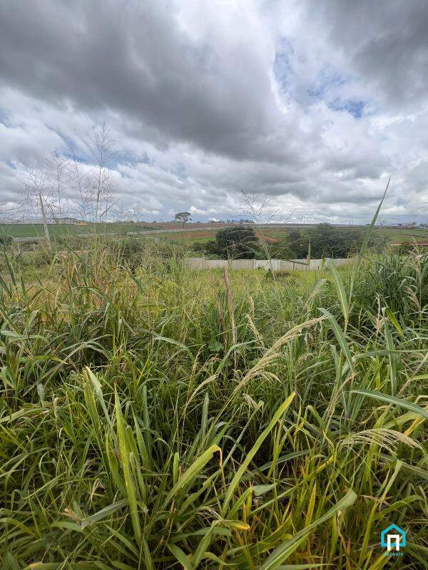 Terreno, 375 m² - Foto 4