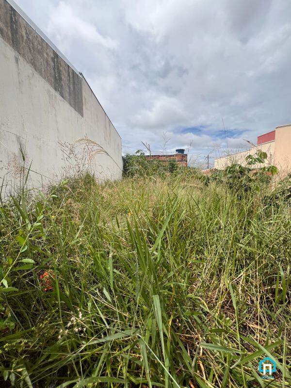 Lote / Terreno à venda em Jardim Betel, Piumhi - MG - foto 5