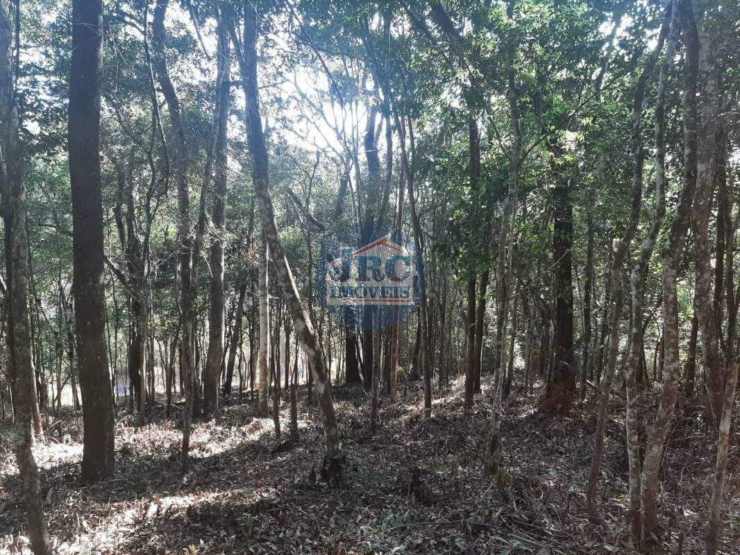 Lote / Terreno à venda no Green Park: 