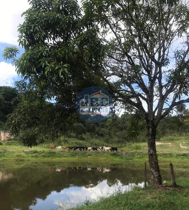 Lote / Terreno à venda no Bandeirinhas: 