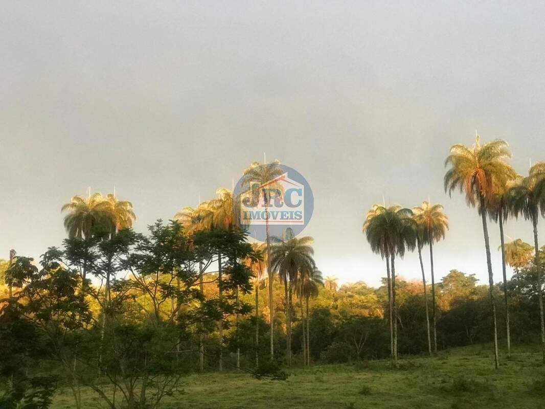 Lote / Terreno à venda no Bandeirinhas: 