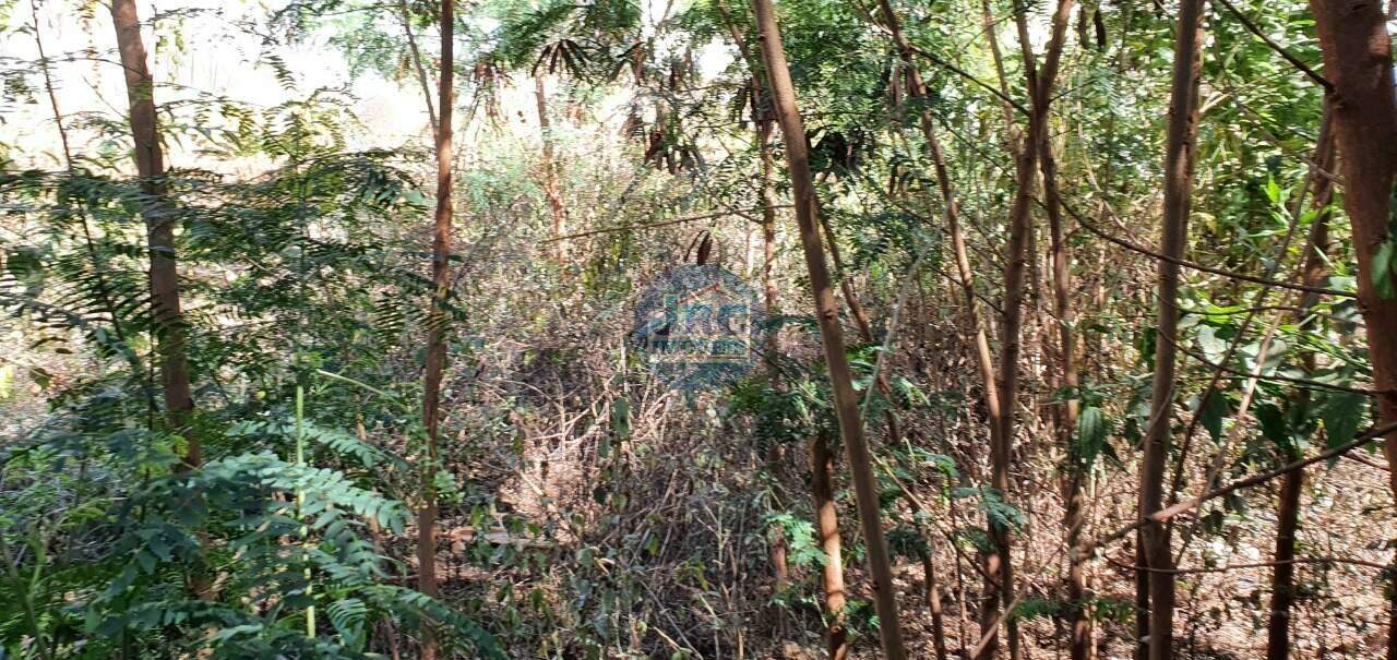 Lote / Terreno à venda no Carlos Prates: 