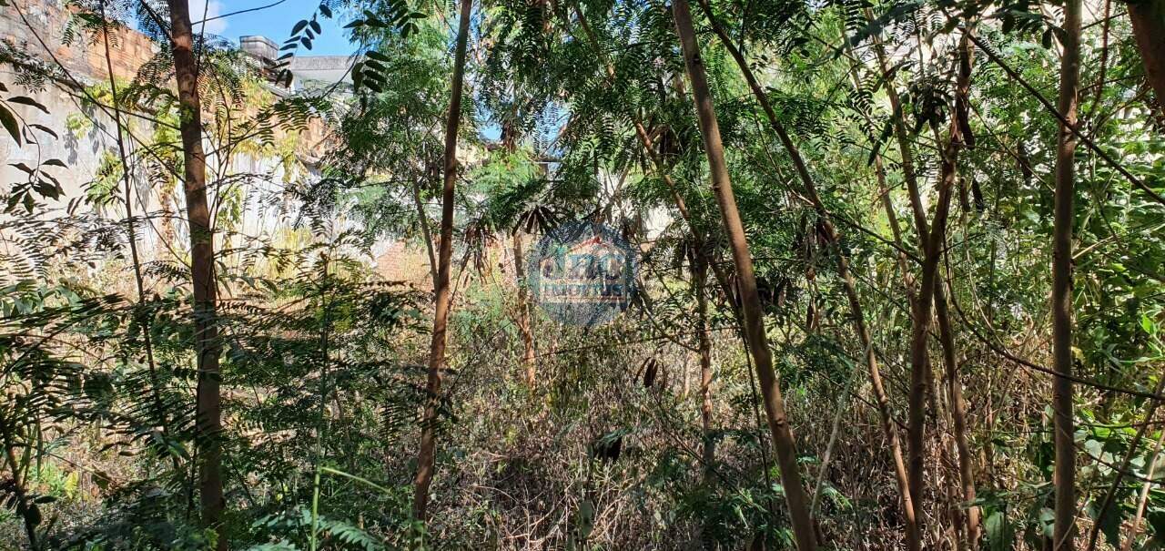 Lote / Terreno à venda no Carlos Prates: 