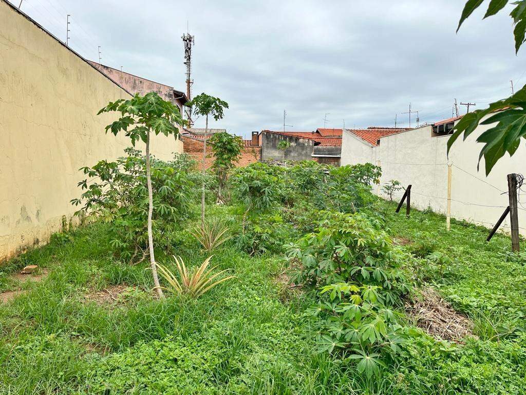 Terreno à venda, no bairro Vila Industrial em Piracicaba - SP