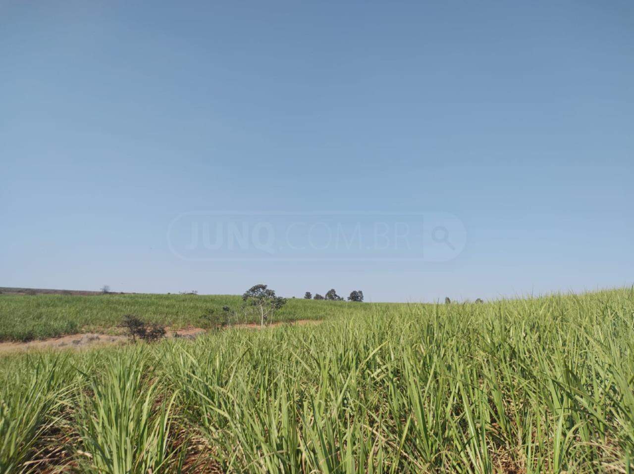 Área à venda, no bairro Área Rural de Rio das Pedras em Rio das Pedras - SP