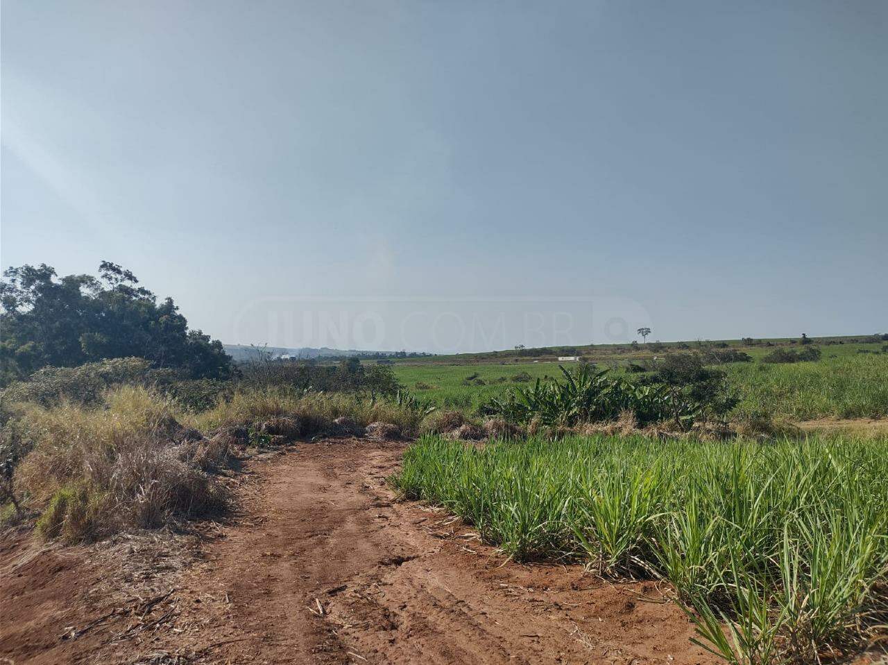 Área à venda, no bairro Área Rural de Rio das Pedras em Rio das Pedras - SP