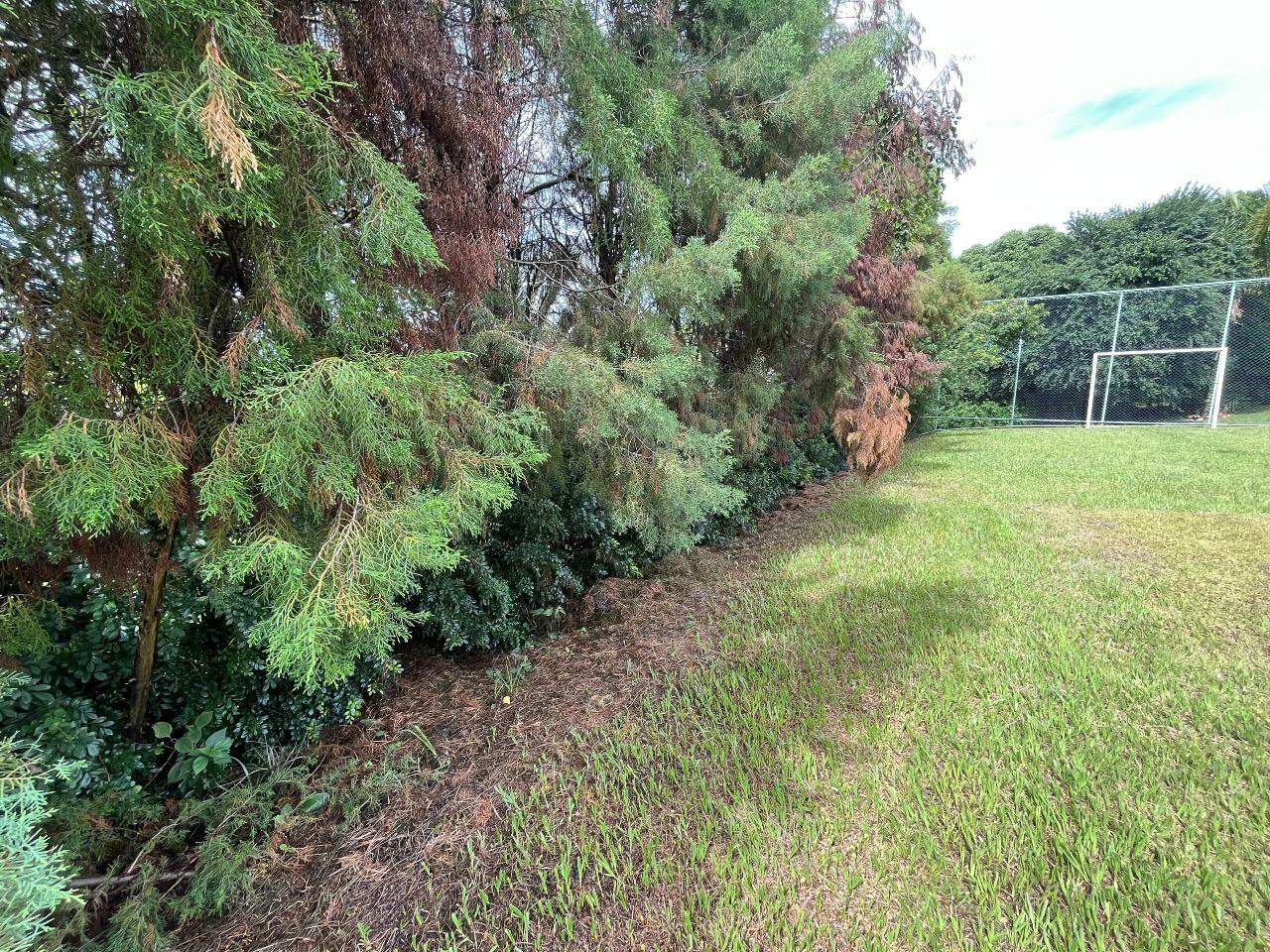 Terreno em Condomínio à venda no Colinas do Piracicaba , no bairro Colinas do Piracicaba (Ártemis) em Piracicaba - SP