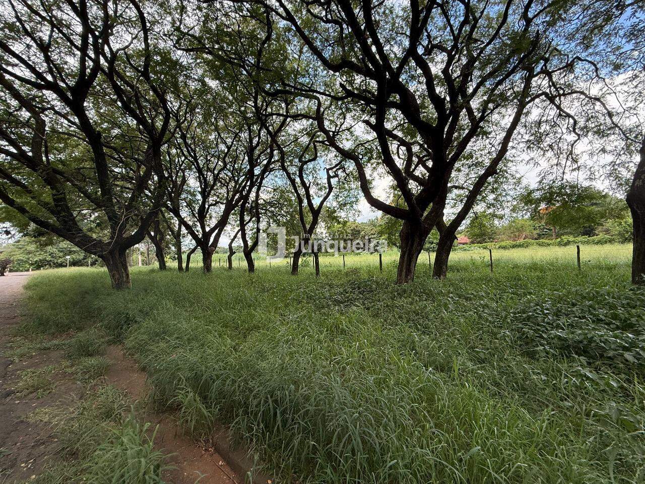 Terreno à venda, no bairro Santa Rita em Piracicaba - SP