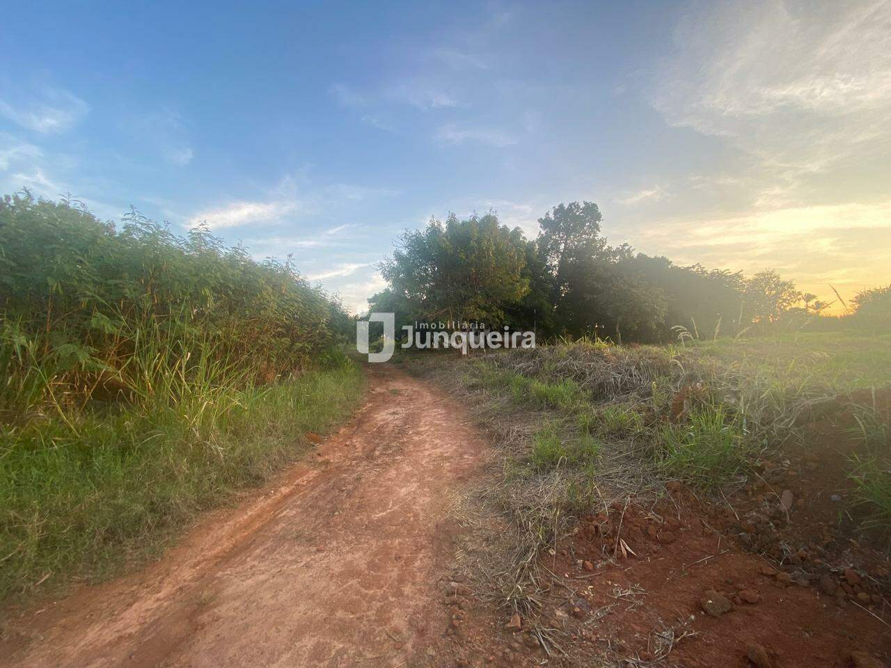 Sítio / Fazenda à venda, no bairro Campestre em Piracicaba - SP