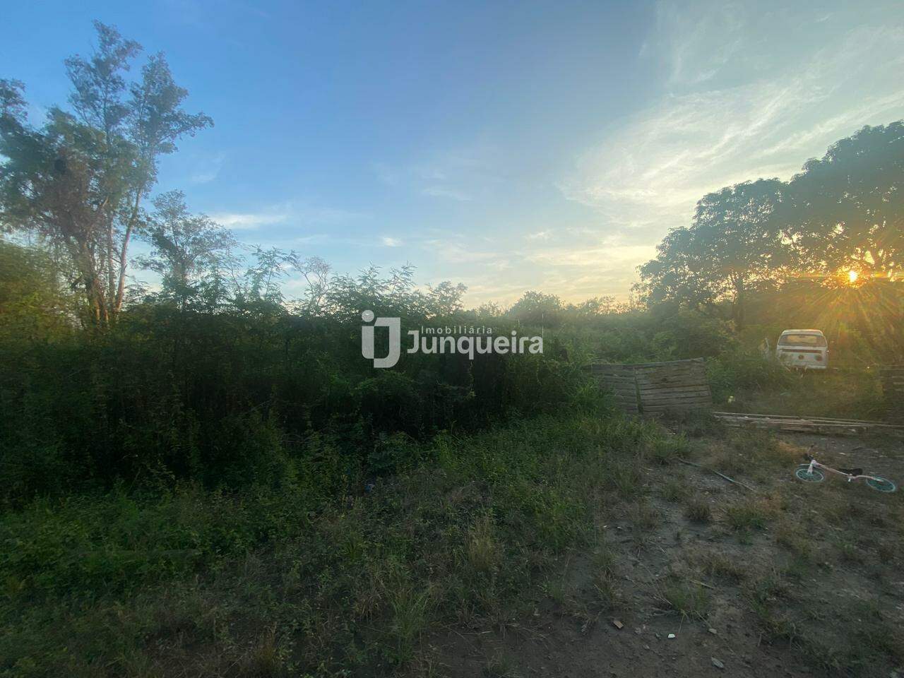 Sítio / Fazenda à venda, no bairro Campestre em Piracicaba - SP