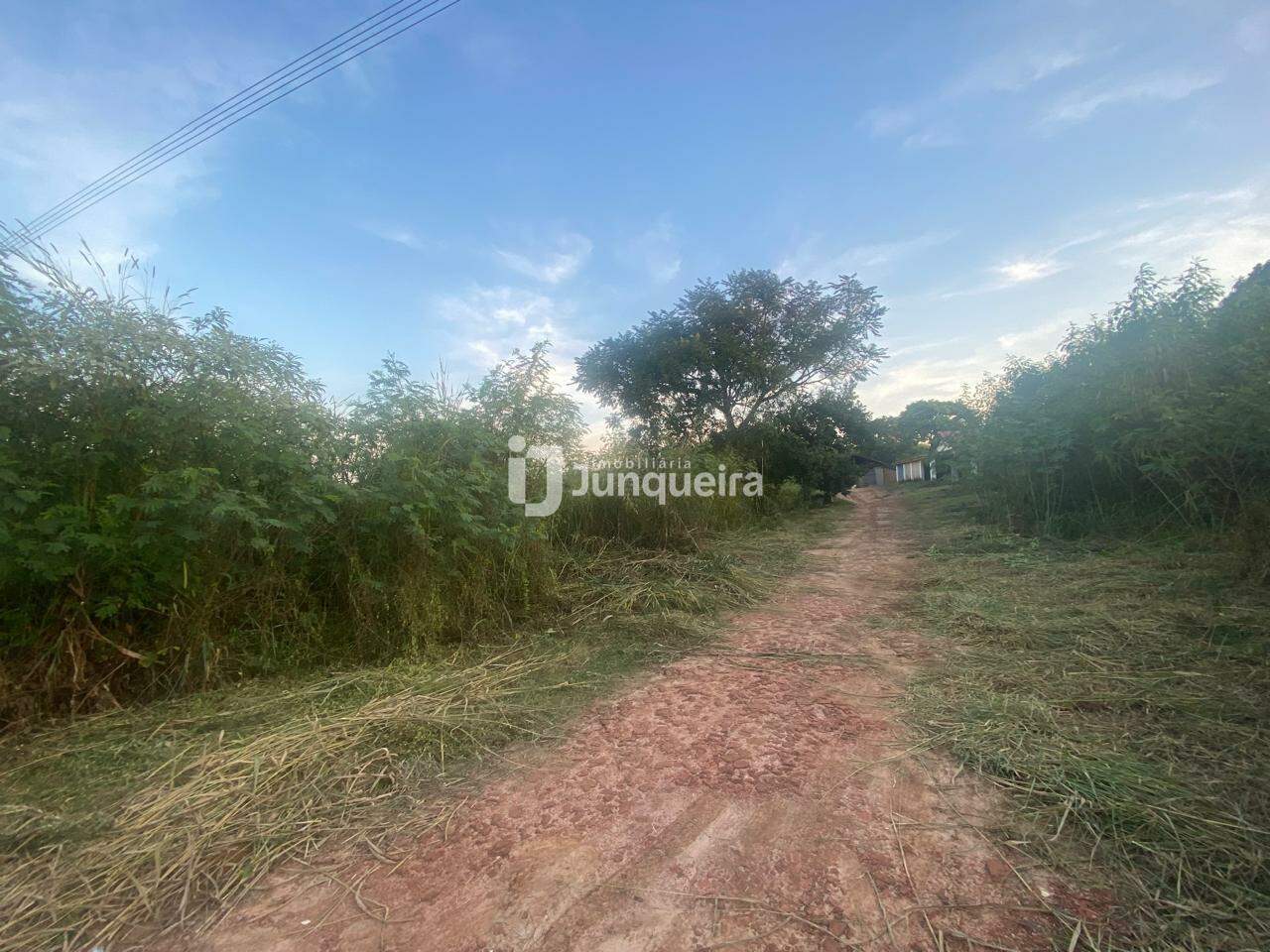 Sítio / Fazenda à venda, no bairro Campestre em Piracicaba - SP