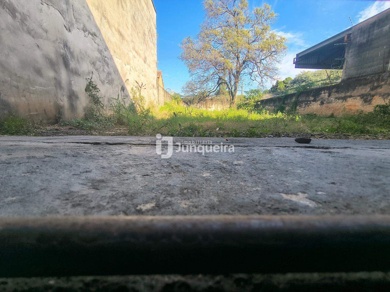 Foto 2 de Galpão para aluguel, Paulicéia - Piracicaba/SP
