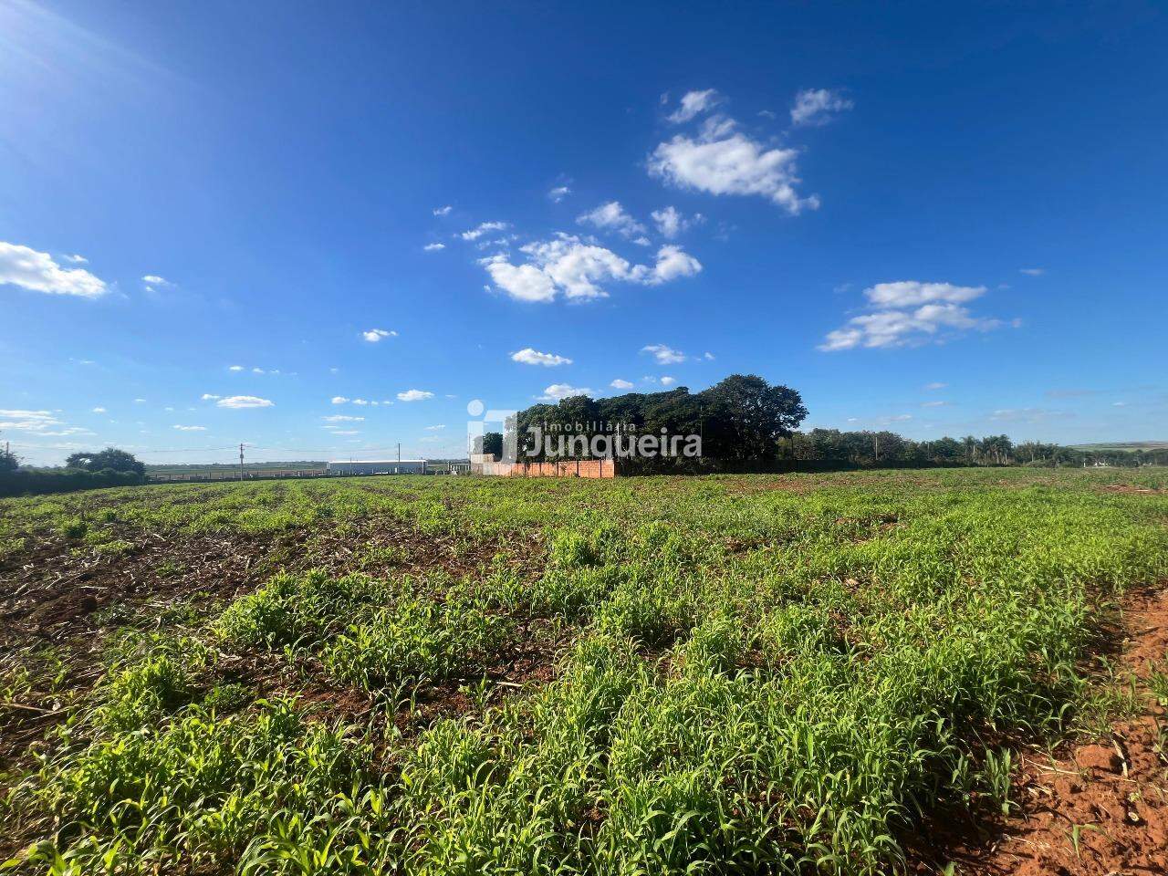 Terreno para alugar, no bairro Área Rural de Saltinho em Saltinho - SP