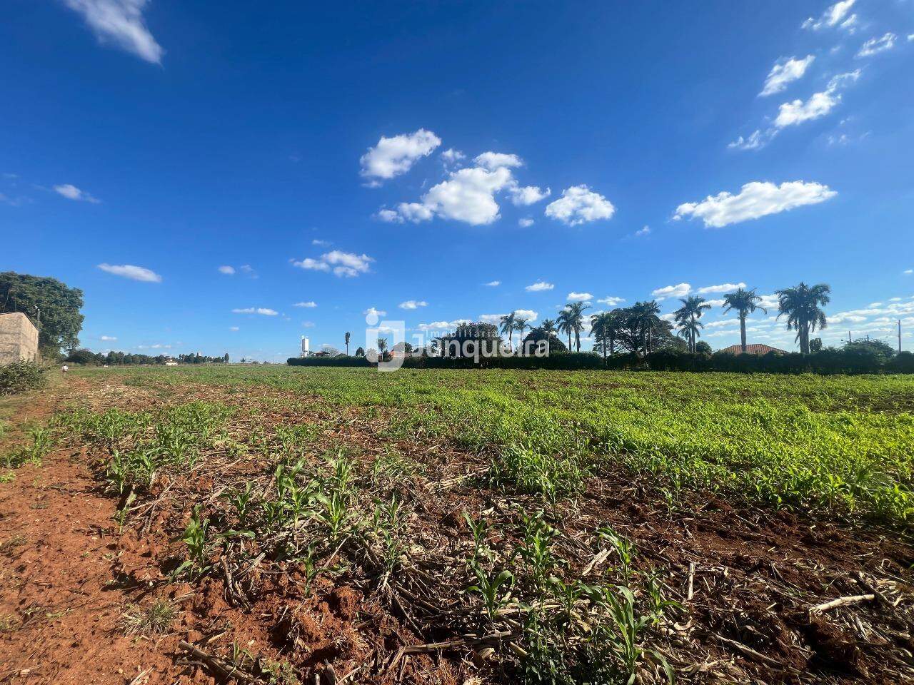 Terreno para alugar, no bairro Área Rural de Saltinho em Saltinho - SP