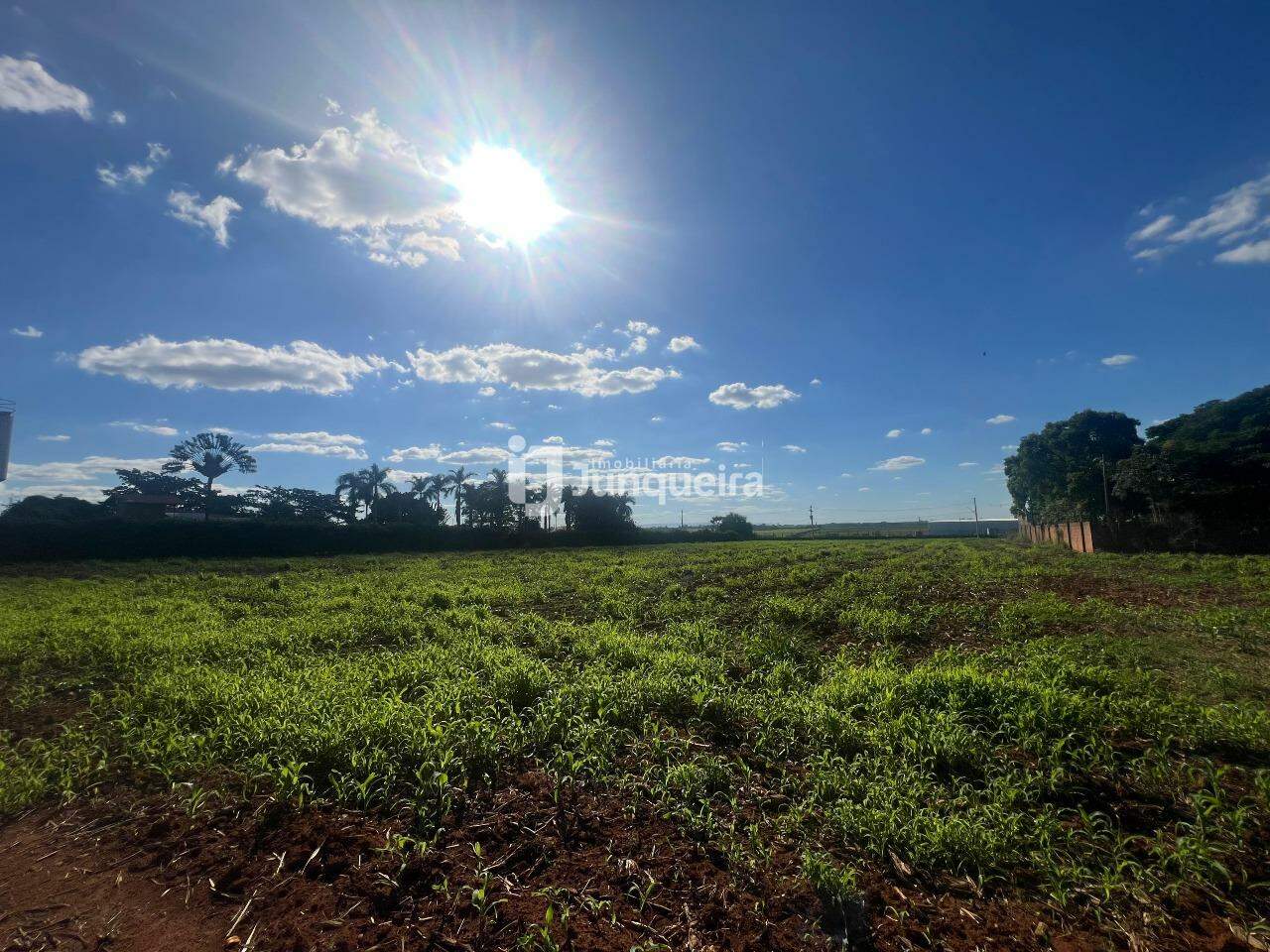 Terreno para alugar, no bairro Área Rural de Saltinho em Saltinho - SP