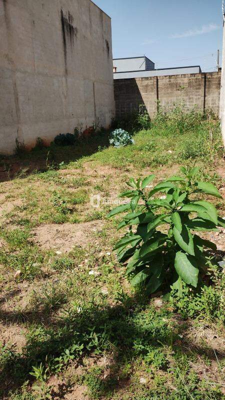Terreno para alugar, no bairro Campestre em Piracicaba - SP