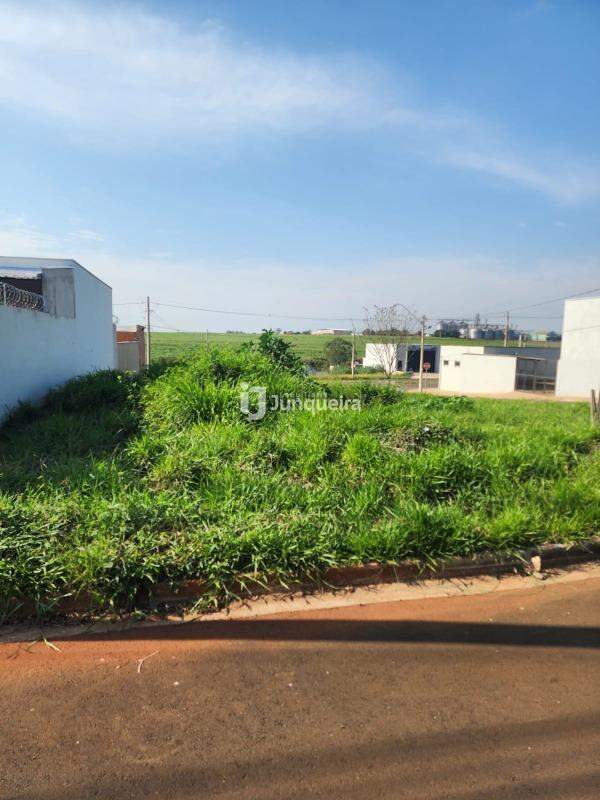Terreno à venda, no bairro Terras Di Treviso em Piracicaba - SP