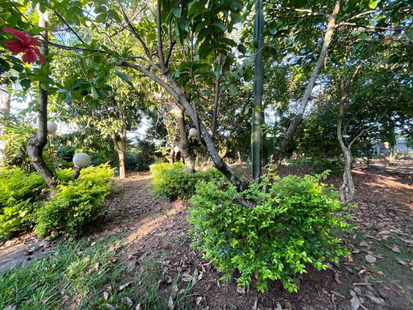 Casa no Condomínio Monte Belo, em Salto disponível para para aluguel | Grupo Kaion: 