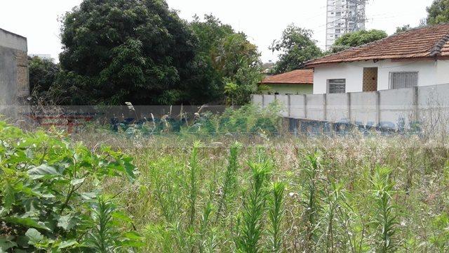 Terreno à venda no Vila da Saúde: 