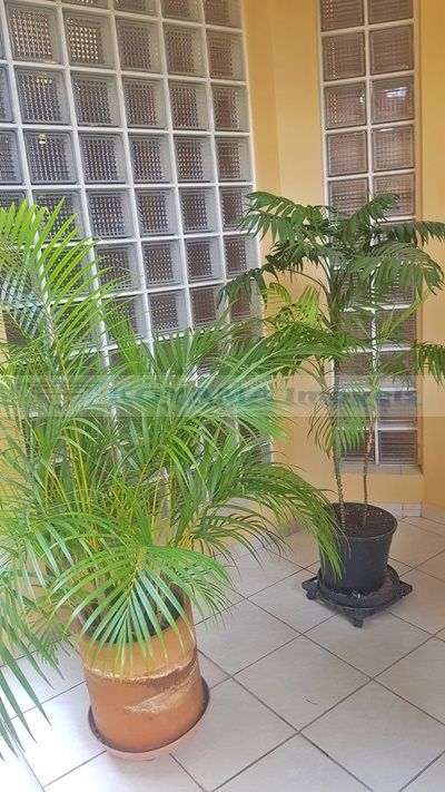 Sobrado à venda no Vila Paulista: 