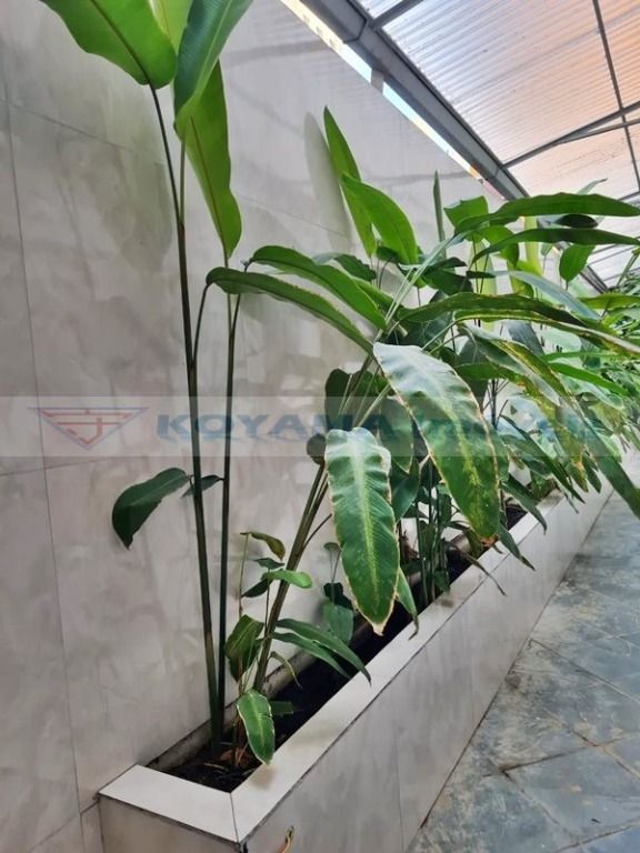 Prédio à venda no Vila Clementino: 